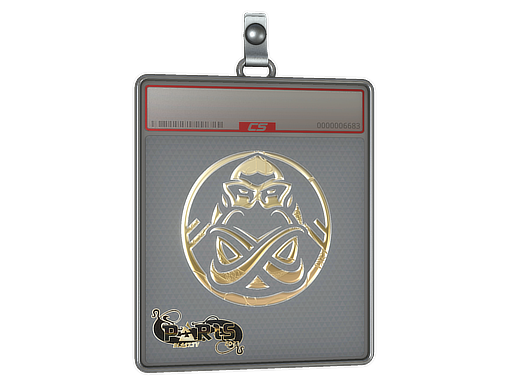 Buy CS2 charm Sticker Slab | ENCE (Gold) | Paris 2023 skin