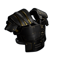 Buy Rust clothing Black Gold Vest skin