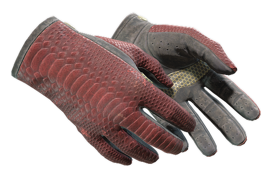 Buy CS2 gloves ★ Driver Gloves | Dragon Fists (Field-Tested) skin
