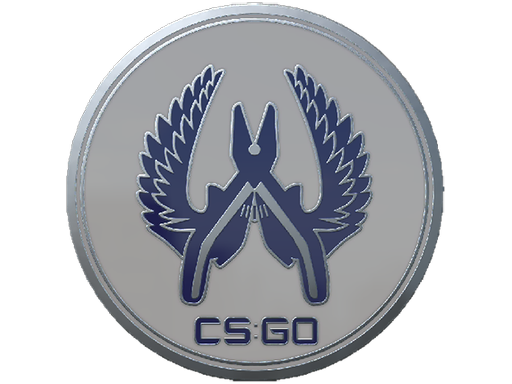 Buy CS2 collectible Guardian 3 Pin skin