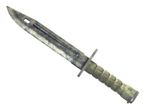 Buy CS2 knife ★ Bayonet | Stained (Battle-Scarred) skin