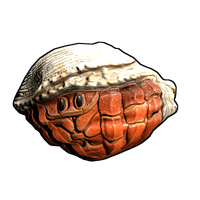Buy Rust weapon Hermit Crab Rock skin