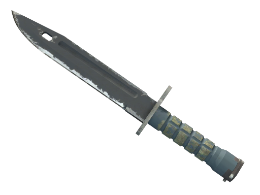 Buy CS2 knife ★ StatTrak™ Bayonet | Night (Field-Tested) skin