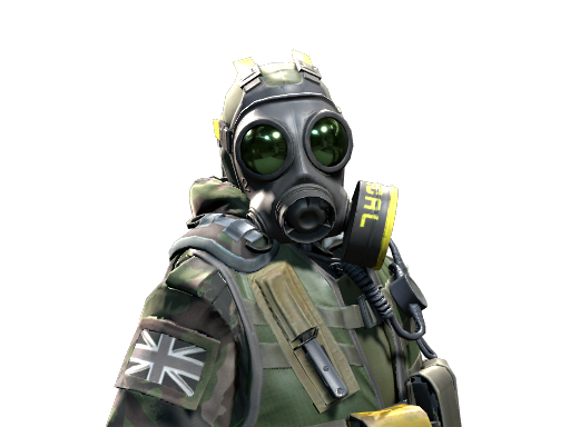Buy CS2 agent B Squadron Officer | SAS skin