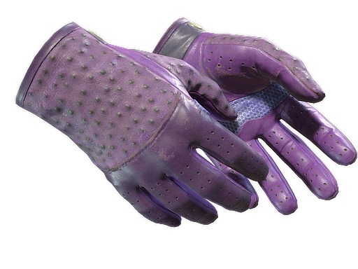 Buy CS2 gloves ★ Driver Gloves | Plum Quill (Field-Tested) skin