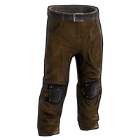 Buy Rust clothing Steppe Camo Pants skin