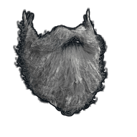 Buy Rust misc Santa Beard skin