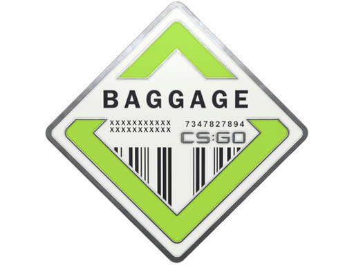 Buy CS2 collectible Baggage Pin skin