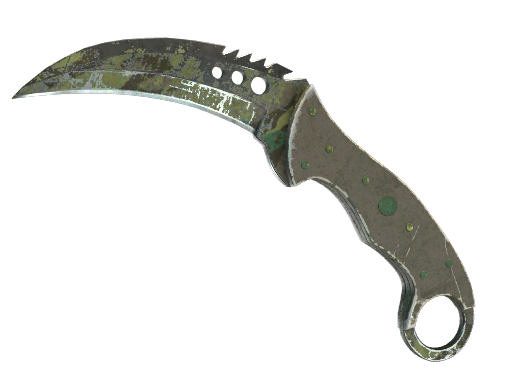 Buy CS2 knife ★ StatTrak™ Talon Knife | Boreal Forest (Battle-Scarred) skin