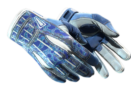 Buy CS2 gloves ★ Sport Gloves | Amphibious (Well-Worn) skin