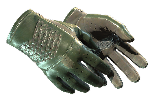 Buy CS2 gloves ★ Driver Gloves | Racing Green (Field-Tested) skin