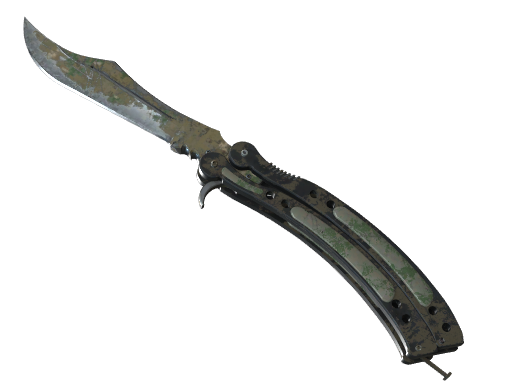Buy CS2 knife ★ StatTrak™ Butterfly Knife | Forest DDPAT (Battle-Scarred) skin