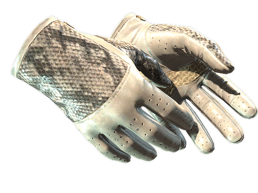 Buy CS2 gloves ★ Driver Gloves | King Snake (Minimal Wear) skin