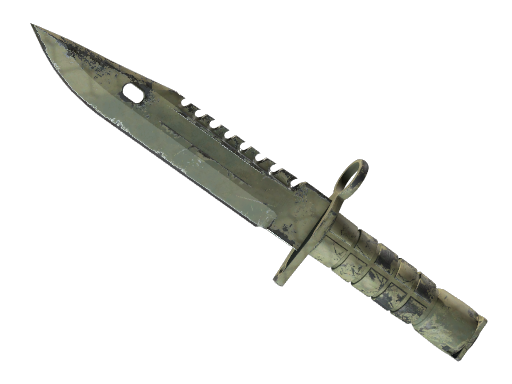 Buy CS2 knife ★ StatTrak™ M9 Bayonet | Safari Mesh (Field-Tested) skin