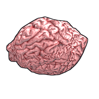 Buy Rust weapon Fresh Brain skin