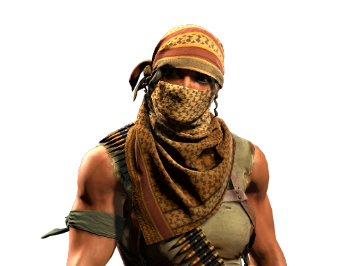 Buy CS2 agent Trapper Aggressor | Guerrilla Warfare skin