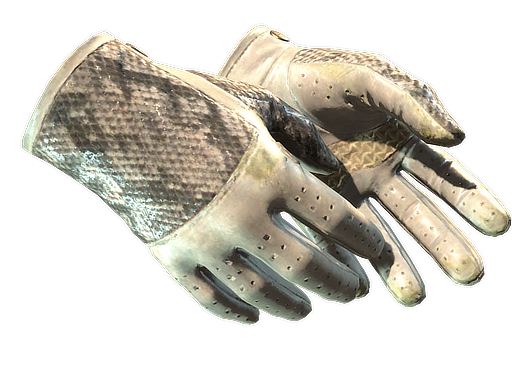 Buy CS2 gloves ★ Driver Gloves | King Snake (Field-Tested) skin