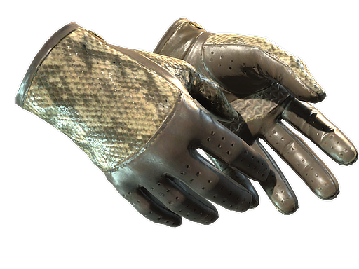Buy CS2 gloves ★ Driver Gloves | Diamondback (Field-Tested) skin
