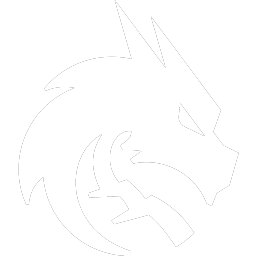 Buy Dota 2 sticker Holo Team Spirit Team Sticker - TI 2023 skin