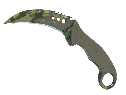 Buy CS2 knife ★ Talon Knife | Boreal Forest (Well-Worn) skin