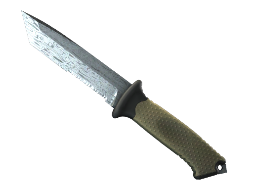 Buy CS2 knife ★ Ursus Knife | Damascus Steel (Field-Tested) skin